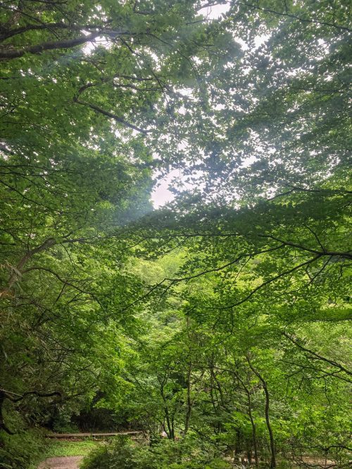 安達太良山 120枚