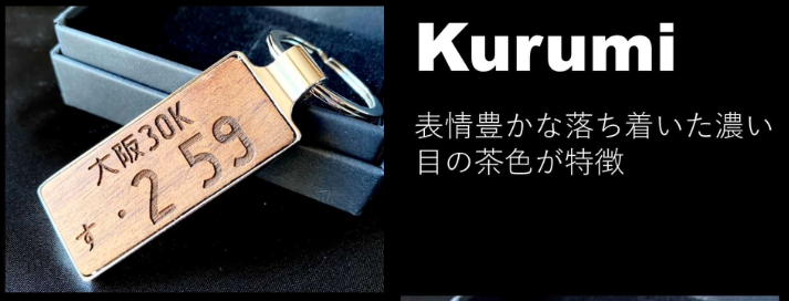 木製ナンバープレートキーホルダー,木職工房【匠】のレビュー,kurumi